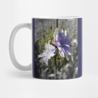 chicory flowers 4 Mug